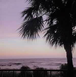 Meet your Posher, Sydney